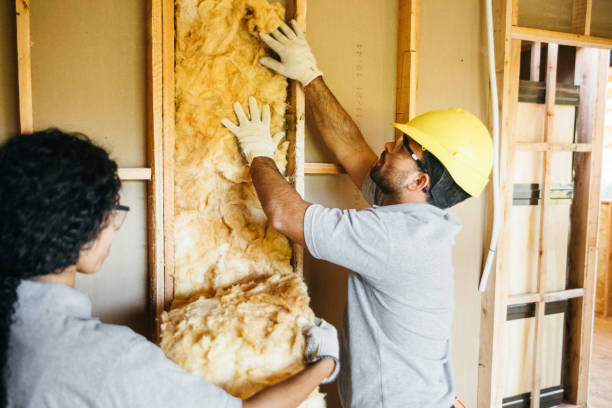 Best Commercial Insulation Services  in Washoe Valley, NV